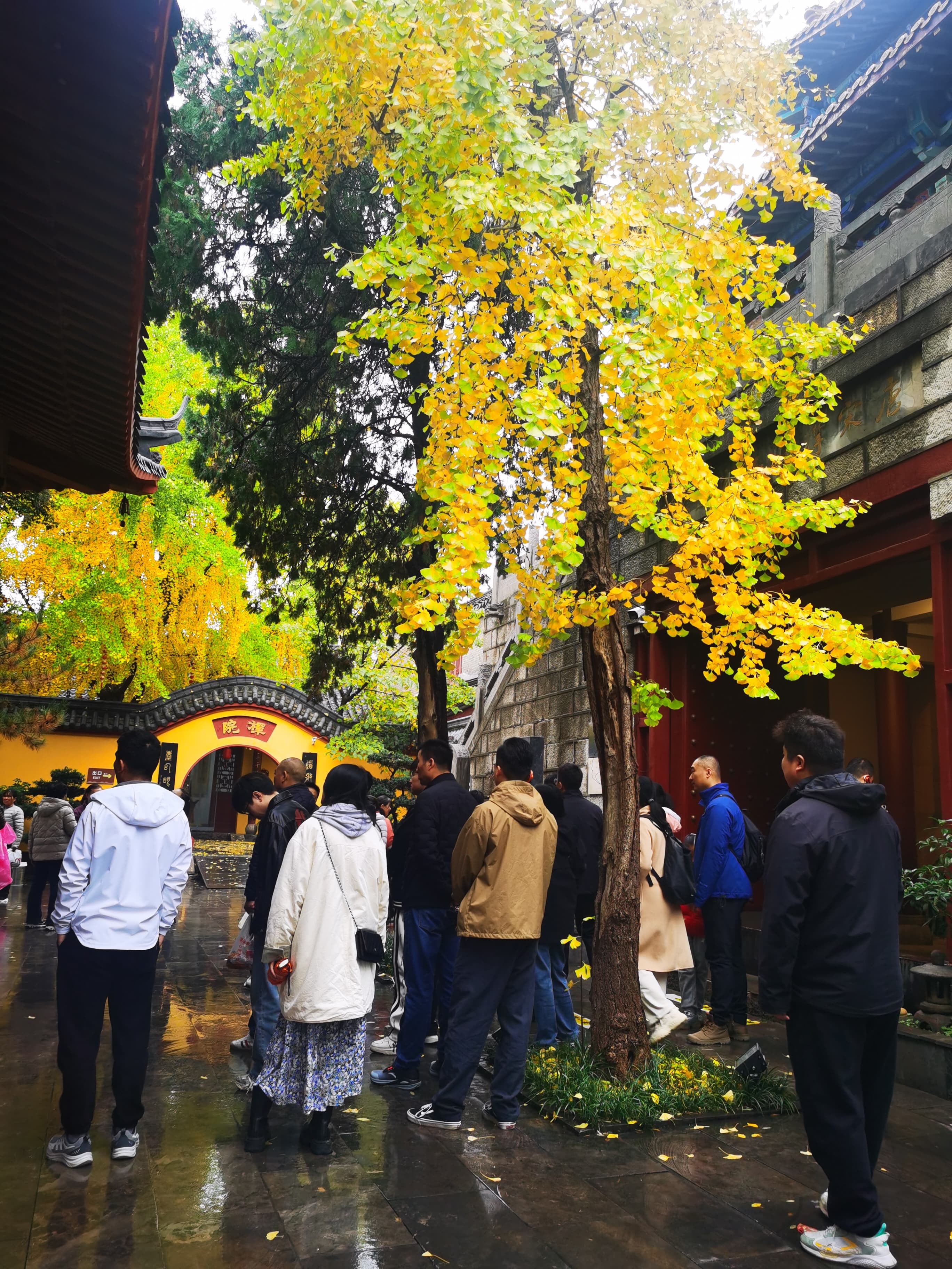 微信图片_20251110084806_123_65.jpg 微信图片_20251110084806_123_65.jpg