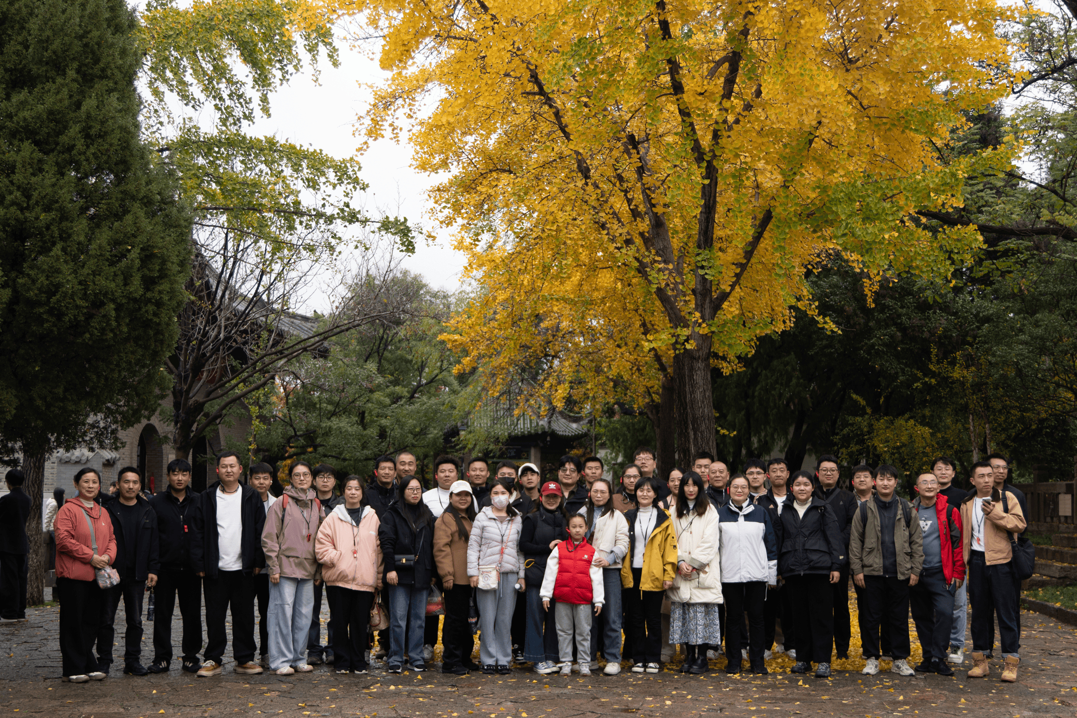 微信图片_20251110084820_147_65.png 微信图片_20251110084820_147_65.png